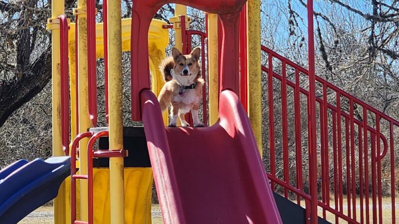 Duval County Park - Benavides, TX