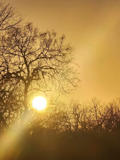 Duval County Park - Benavides, TX
