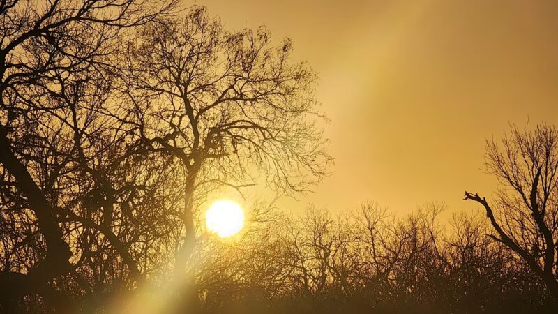 Duval County Park - Benavides, TX