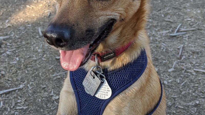 Big Sky Park Off-Leash Dog Area - Bend, OR