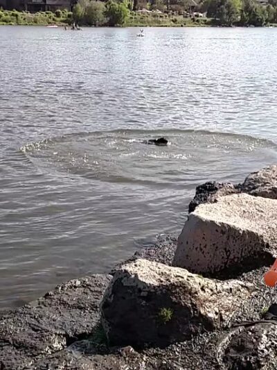 Riverbend Dog Park - Bend, OR