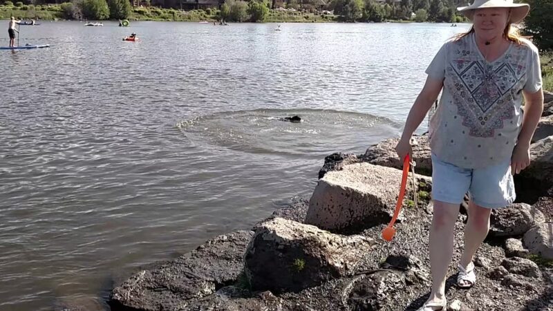 Riverbend Dog Park - Bend, OR