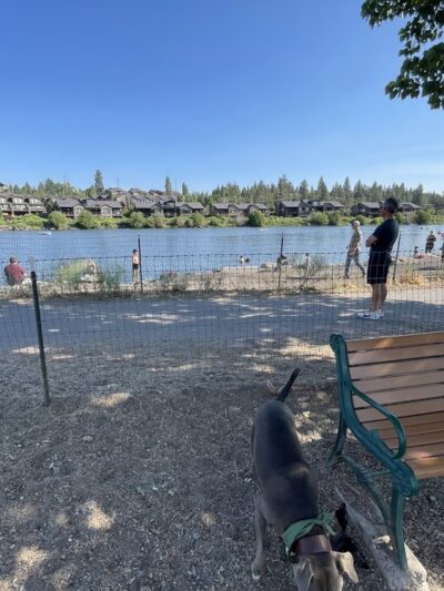Riverbend Dog Park - Bend, OR