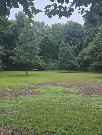 St. Joseph dog park - Benton Harbor, MI