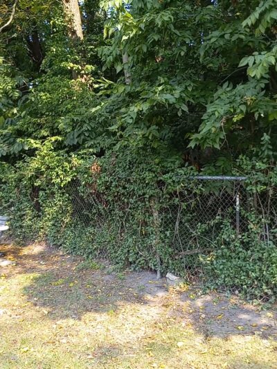 St. Joseph dog park - Benton Harbor, MI