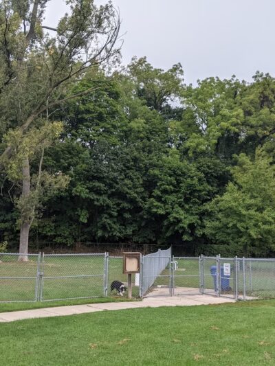 St. Joseph dog park - Benton Harbor, MI