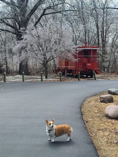 Benton Community Park District - Benton, IL