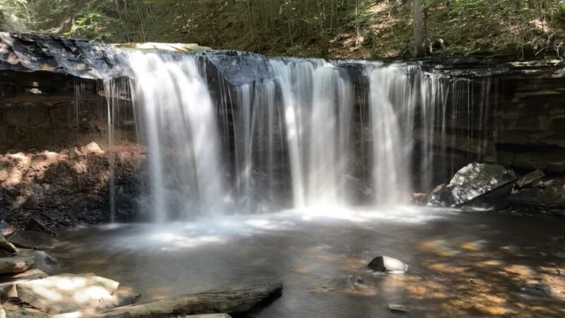 Falls Natural Trail, Rickett's Glen - Benton, PA
