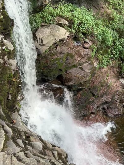 Falls Natural Trail, Rickett's Glen - Benton, PA