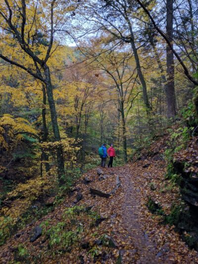 Falls Natural Trail, Rickett's Glen - Benton, PA