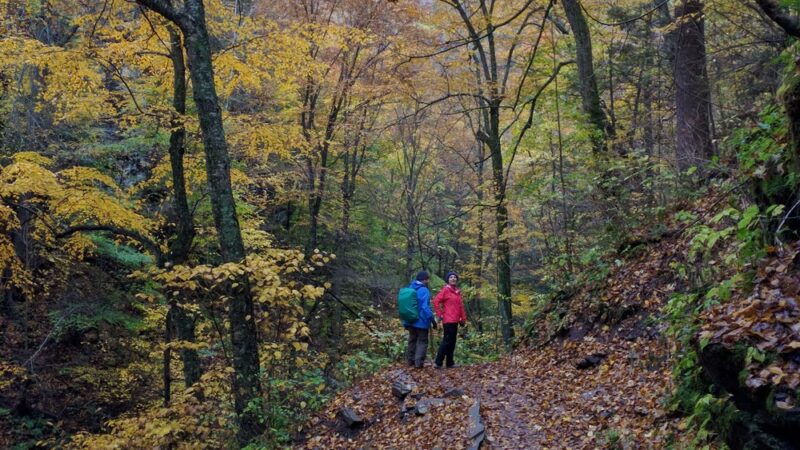 Falls Natural Trail, Rickett's Glen - Benton, PA