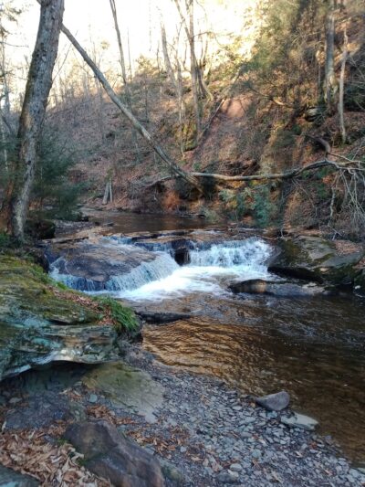 Falls Natural Trail, Rickett's Glen - Benton, PA