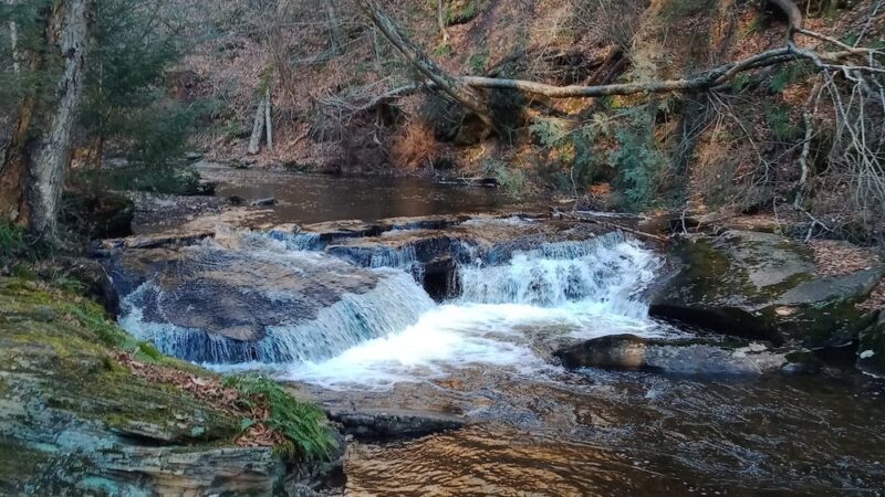 Falls Natural Trail, Rickett's Glen - Benton, PA