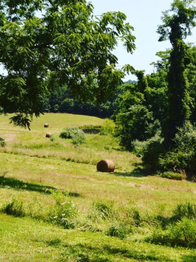 Berkeley Springs - Berkeley Springs, WV