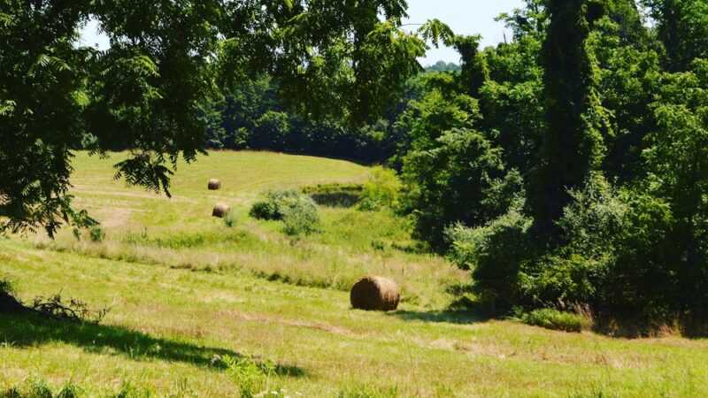 Berkeley Springs - Berkeley Springs, WV