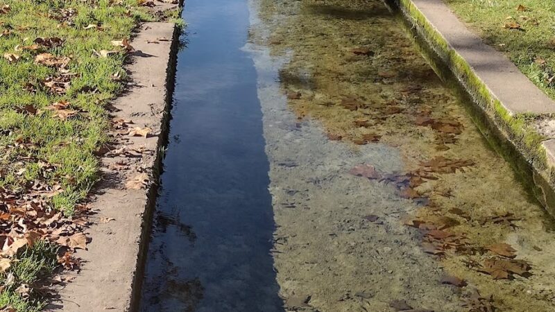 Berkeley Springs State Park Swimming Pool - Berkeley Springs, WV