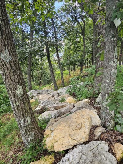 Cacapon State Park - Berkeley Springs, WV