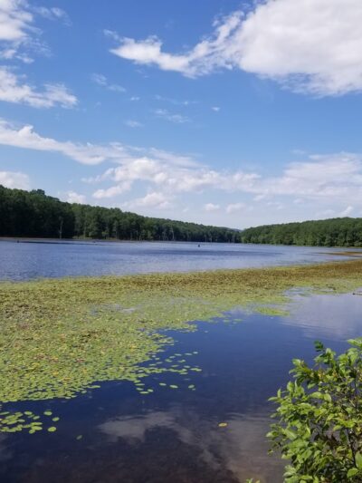 Sleepy Creek Wildlife Management Area - Berkeley Springs, WV