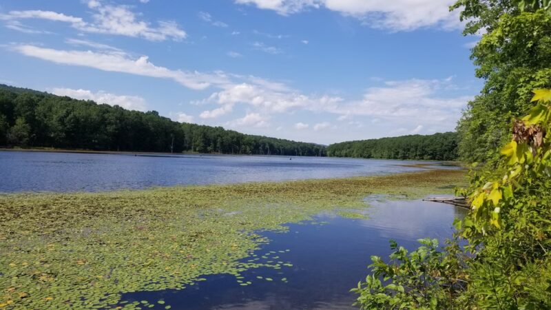 Sleepy Creek Wildlife Management Area - Berkeley Springs, WV