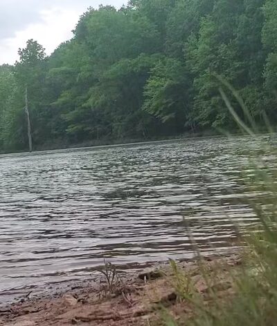 Sleepy Creek Wildlife Management Area - Berkeley Springs, WV