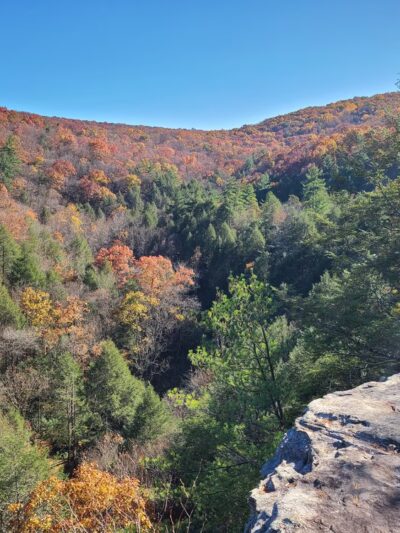 Sleepy Creek Wildlife Management Area - Berkeley Springs, WV