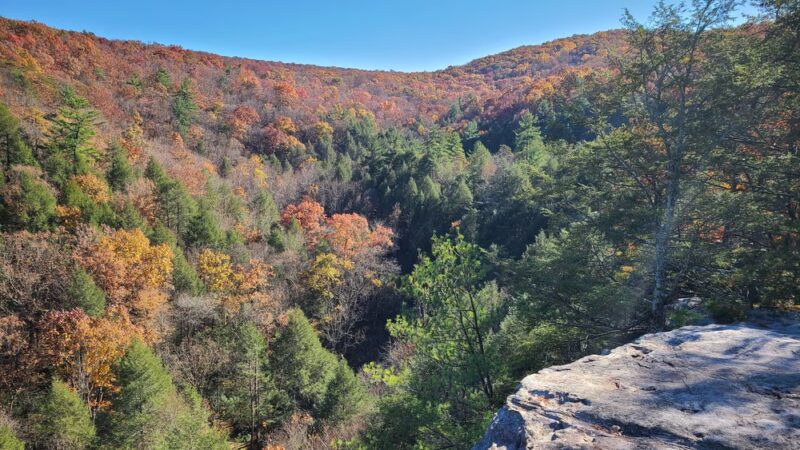 Sleepy Creek Wildlife Management Area - Berkeley Springs, WV