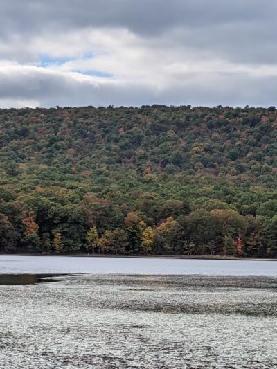 Sleepy Creek Wildlife Management Area - Berkeley Springs, WV