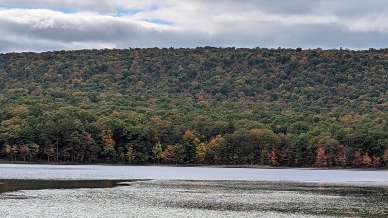 Sleepy Creek Wildlife Management Area - Berkeley Springs, WV