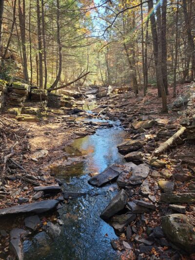 Sleepy Creek Wildlife Management Area - Berkeley Springs, WV