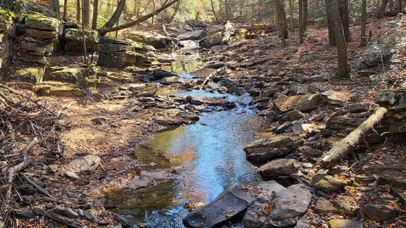 Sleepy Creek Wildlife Management Area - Berkeley Springs, WV