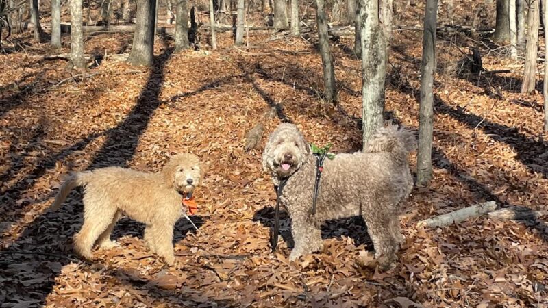 Bicentennial Park - Berlin, CT