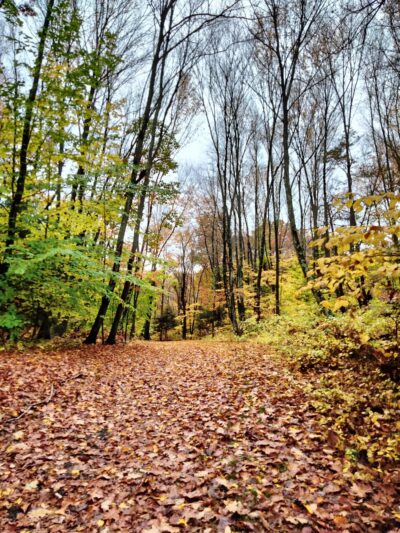 Bicentennial Park - Berlin, CT