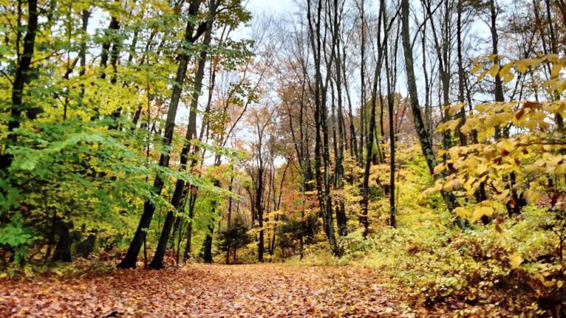 Bicentennial Park - Berlin, CT