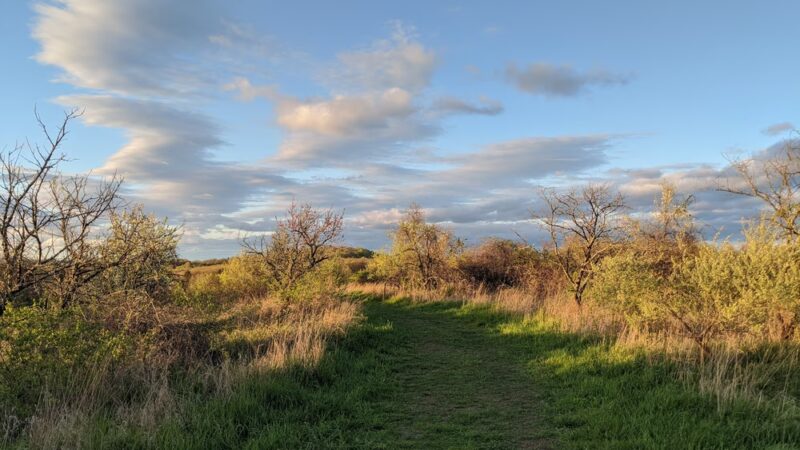 Bicentennial Park - Berlin, CT