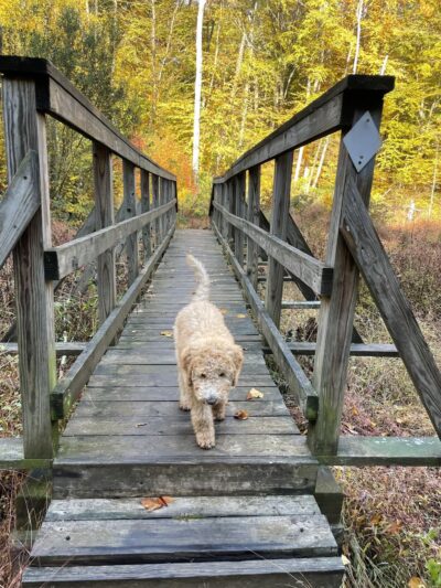 Bicentennial Park - Berlin, CT