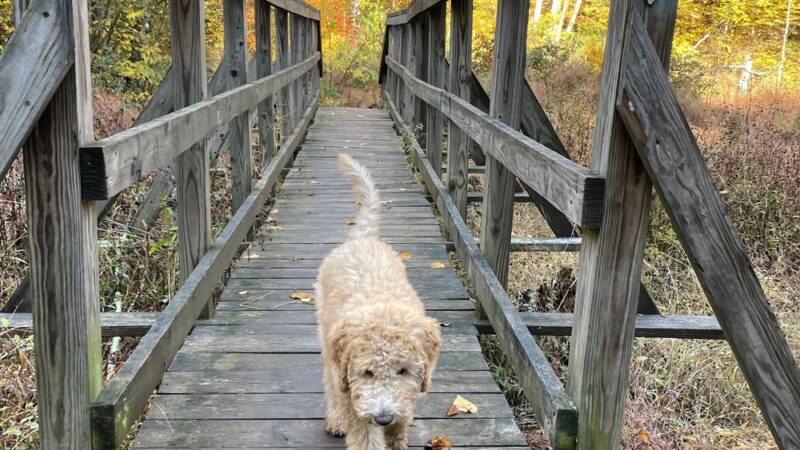 Bicentennial Park - Berlin, CT