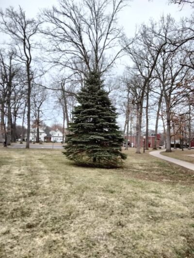 Clark's Grove Park - Berlin, CT