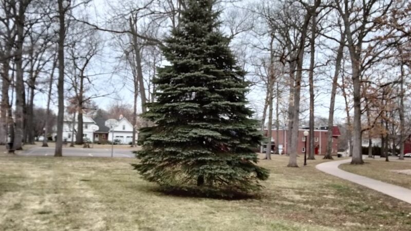 Clark's Grove Park - Berlin, CT