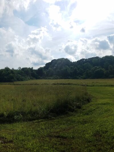 Hatchery Brook Conservation Area - Berlin, CT