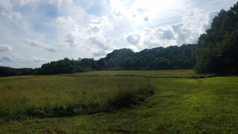 Hatchery Brook Conservation Area - Berlin, CT