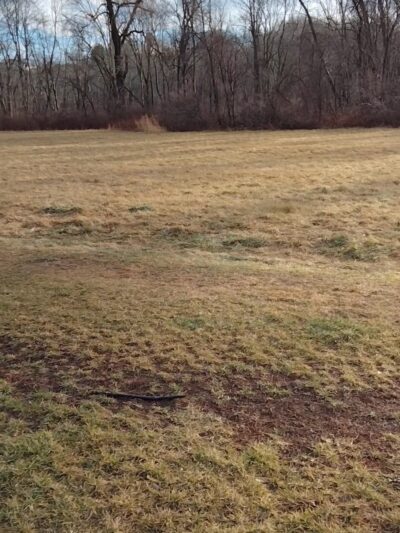 Hatchery Brook Conservation Area - Berlin, CT