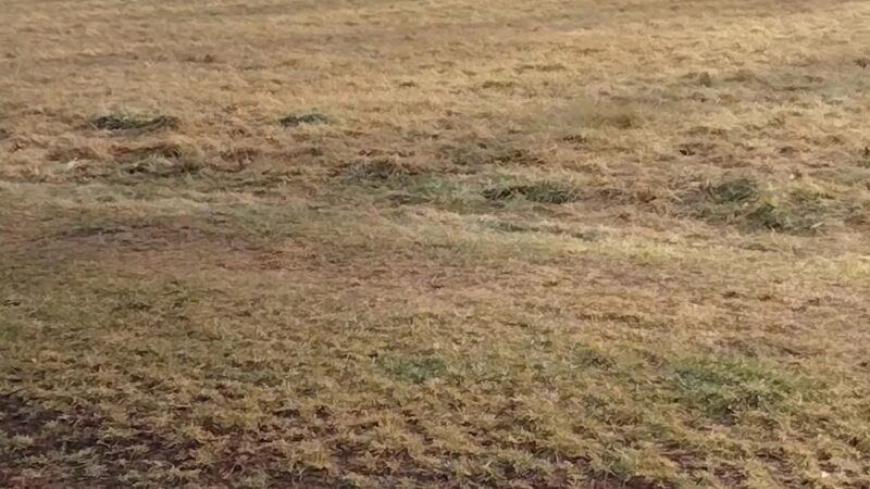 Hatchery Brook Conservation Area - Berlin, CT
