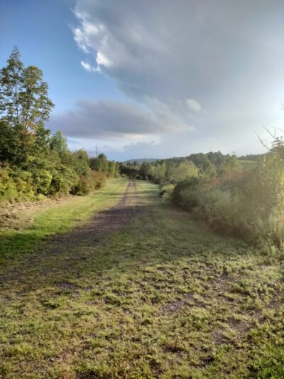 Hatchery Brook Conservation Area - Berlin, CT