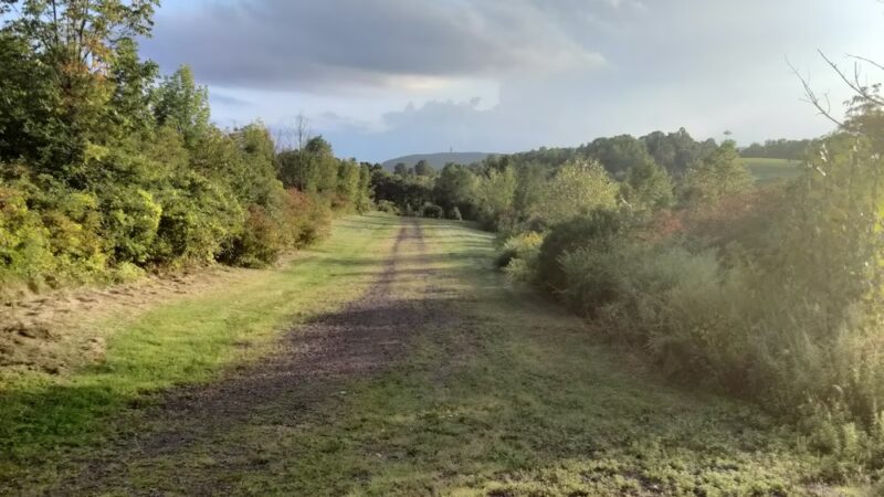 Hatchery Brook Conservation Area - Berlin, CT
