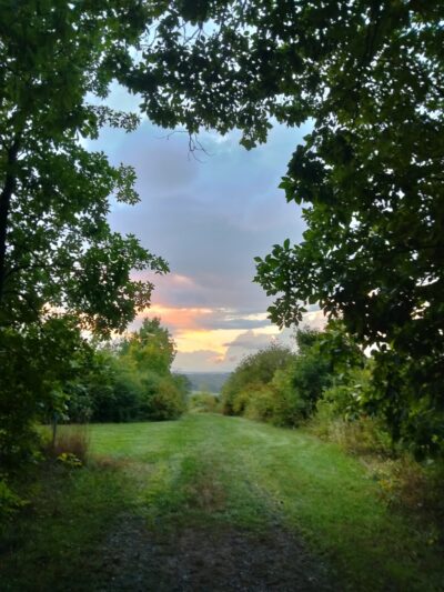 Hatchery Brook Conservation Area - Berlin, CT
