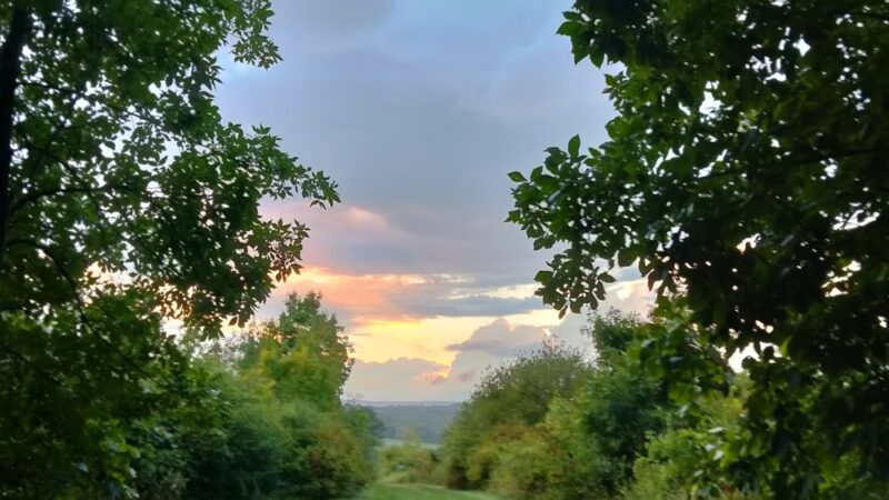 Hatchery Brook Conservation Area - Berlin, CT