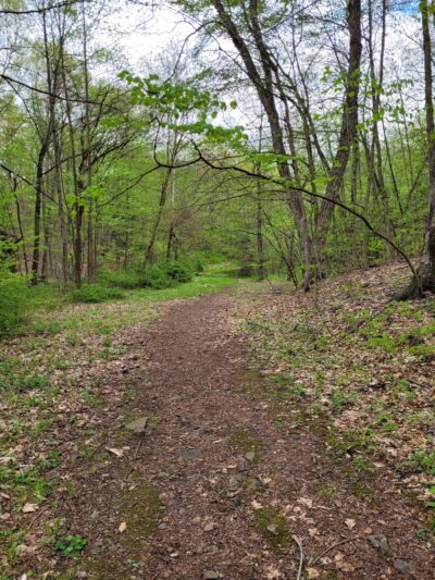 Kensington Orchards - Berlin, CT