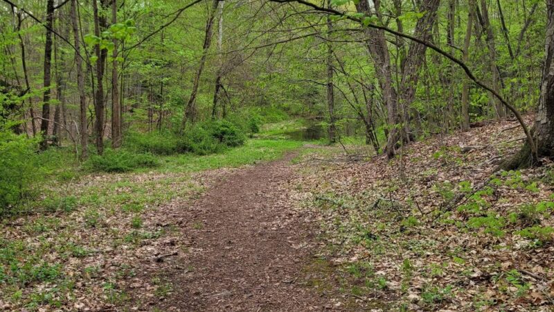Kensington Orchards - Berlin, CT