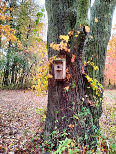 Kensington Orchards - Berlin, CT