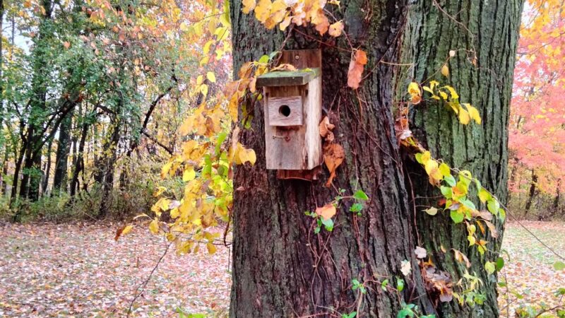 Kensington Orchards - Berlin, CT